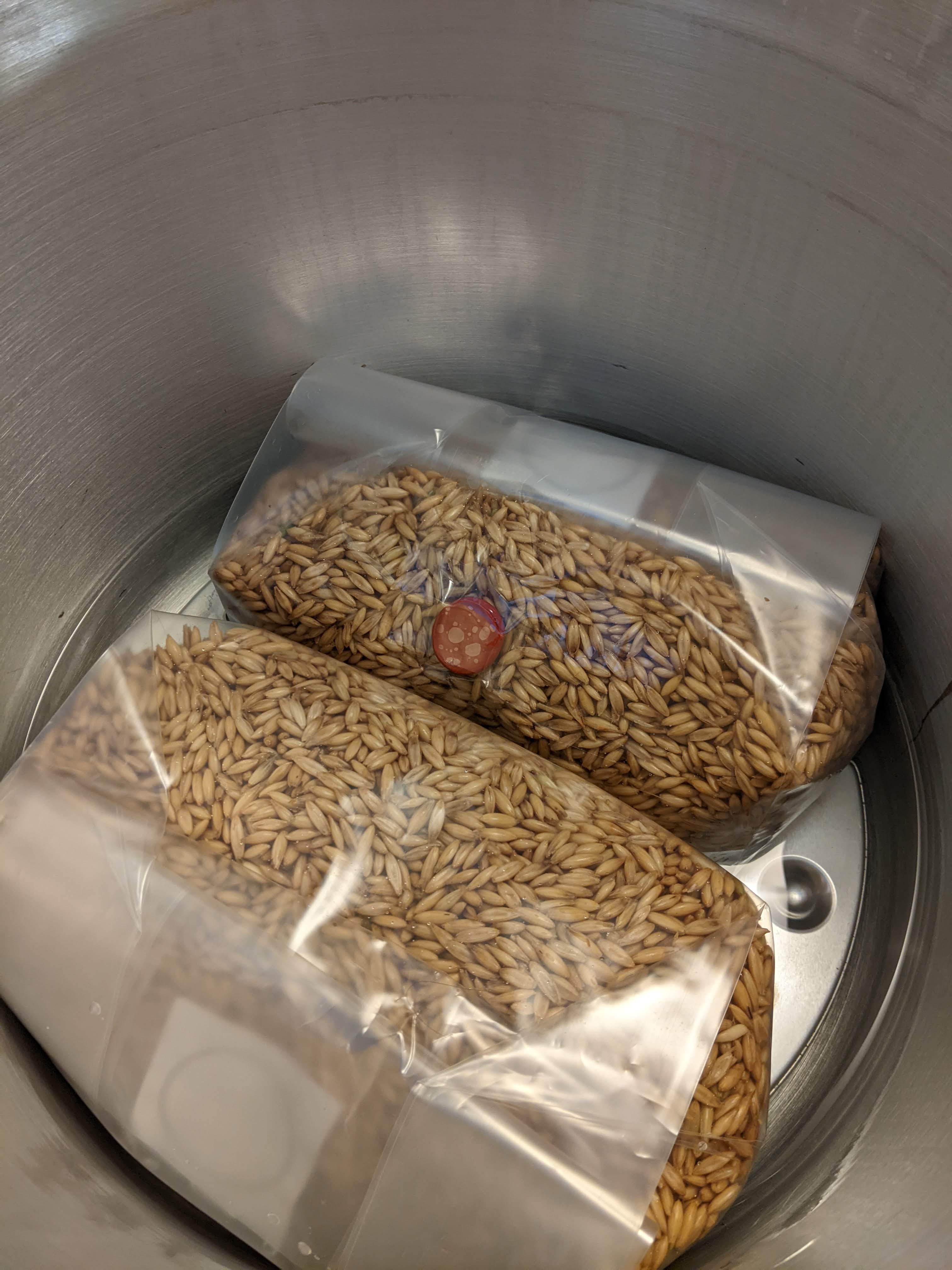 Oats in their specialized bags in a pressure cooker with water at the bottom