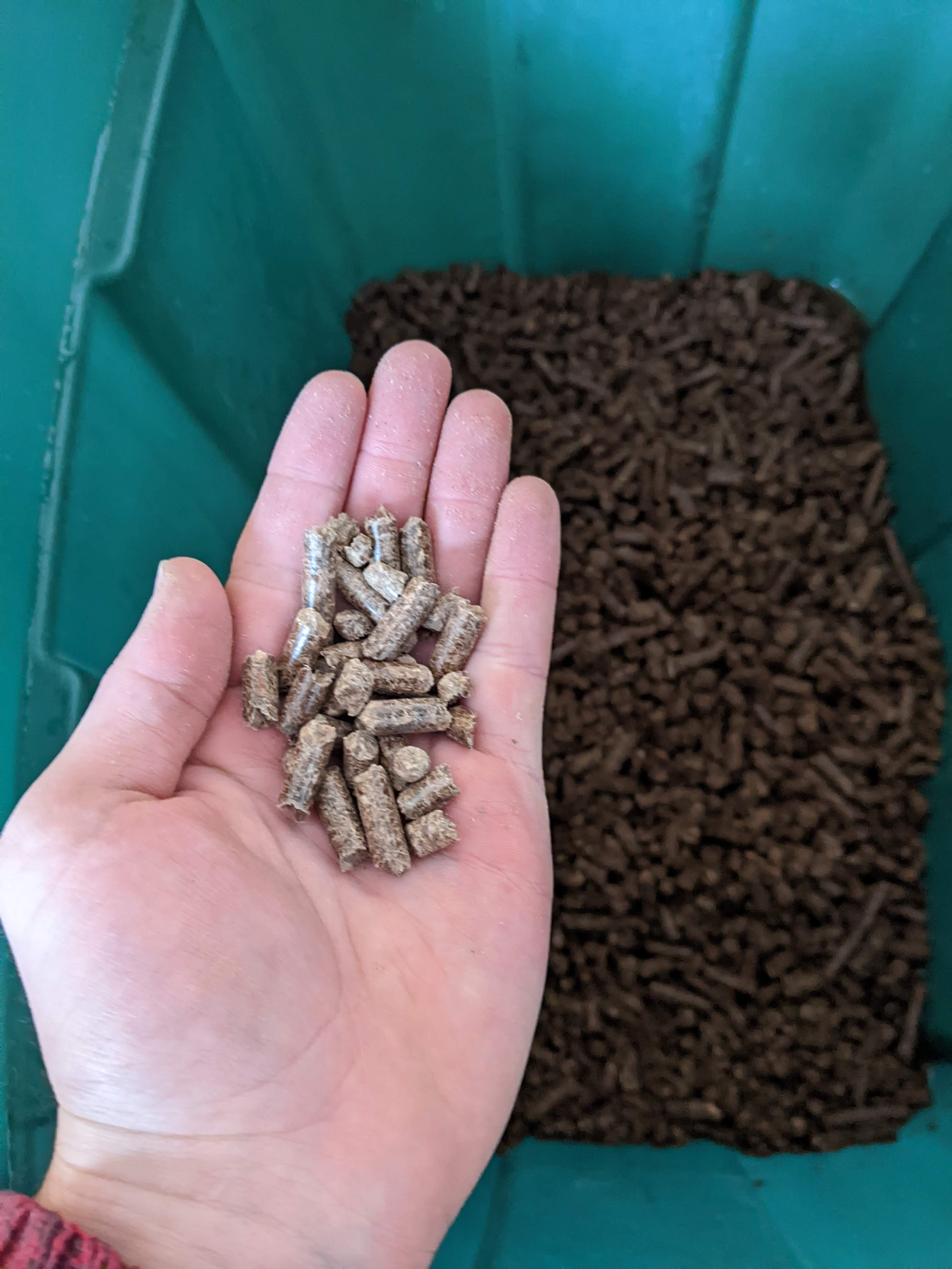 Dry and soaking wood pellets